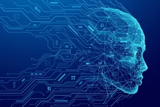 What does an IT manager do?