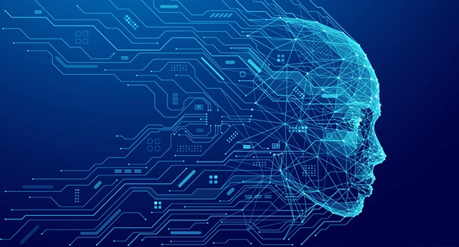 What does an IT manager do?